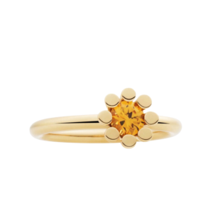 Bron Sprite Ring met citrien - 6GG4590CI